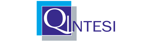 logo qintesi