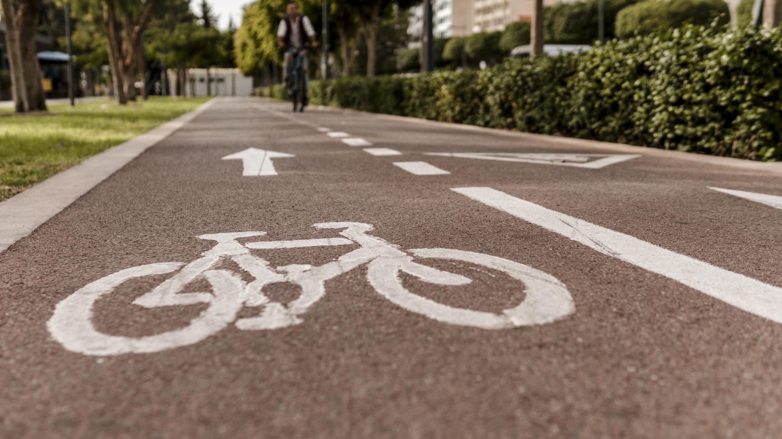 bike lane close up road edited scaled